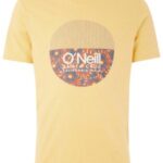 O'neill "o'neill bedwell t-shirt à motifs"