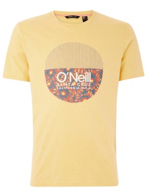 O'neill "o'neill bedwell t-shirt à motifs"