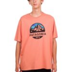 Patagonia "patagonia fitz roy scope organic t-shirt rouge"