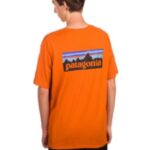 Patagonia "patagonia p6 logo organic t-shirt orange"