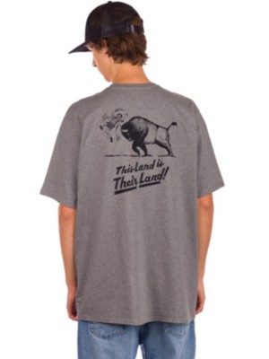 Patagonia "patagonia their land responsibili- t-shirt gris"