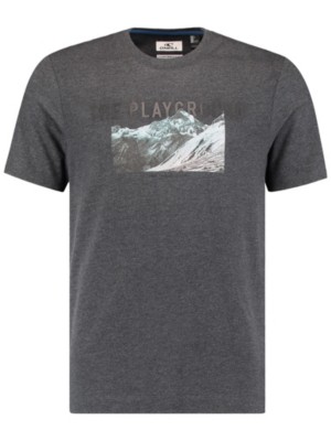 O'neill "o'neill our playground t-shirt gris"