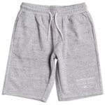 Quiksilver "quiksilver easy day shorts gris"