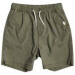 Quiksilver "quiksilver taxer ws shorts vert"
