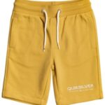 Quiksilver "quiksilver easy day rib shorts jaune"