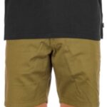 Volcom "volcom frickin modern stretch 19"" shorts vert"