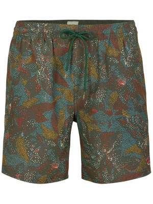 O'neill "o'neill tribe boardshorts vert"