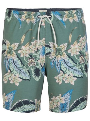 O'neill "o'neill o'riginal floral boardshorts vert"