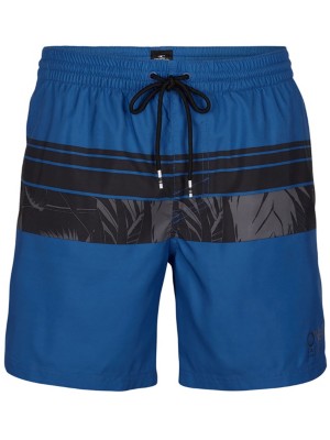 O'neill "o'neill cali stripe boardshorts bleu"