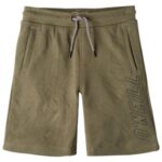 O'neill "o'neill all year round jog shorts vert"