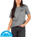 Santa cruz "santa cruz floral dot t-shirt gris"