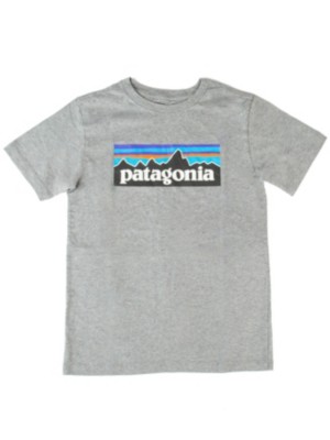 Patagonia "patagonia regenerative organic certified cotton p- t-shirt gris"