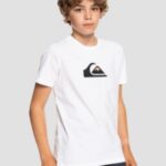 Quiksilver "quiksilver comp logo t-shirt blanc"