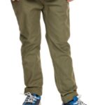 Quiksilver "quiksilver chino stretch pants vert"