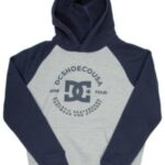 Dc "dc star pilot raglan hoodie gris"
