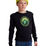 Burton "burton lawler longsleeve t-shirt noir"