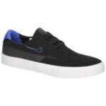 Nike "nike sb shane skate shoes noir"