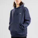 Adidas skateboarding "adidas skateboarding h shmoo hoodie bleu"