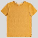 Quiksilver "quiksilver kentin t-shirt marron"