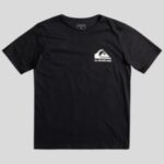 Quiksilver "quiksilver how are you feeling t-shirt noir"