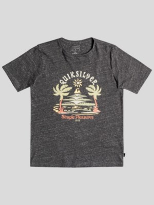 Quiksilver "quiksilver strange days t-shirt gris"