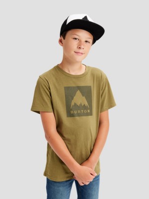 Burton "burton classic mountain high t-shirt vert"