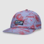 Patagonia "patagonia boardshort label trad cap bleu"