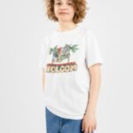 Volcom "volcom roosting basic t-shirt blanc"