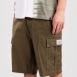Dc "dc warehouse cargo 2 shorts vert"