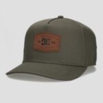 Dc "dc reynotts 6 cap vert"