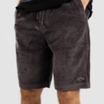 Billabong "billabong bad dog shorts gris"