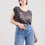 Billabong "billabong secret island t-shirt gris"