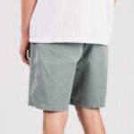 Element "element valley twill shorts vert"