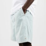 Quiksilver "quiksilver taxer cord shorts gris"