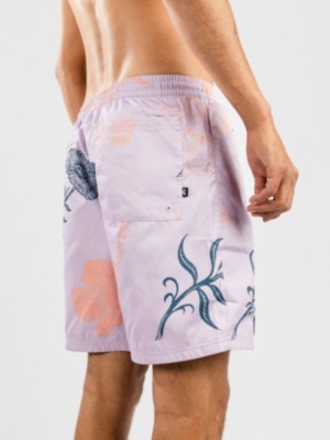 Nike "nike sb novelty skate water boardshorts violet"