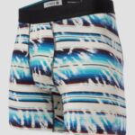 Stance "stance quatros casas boxershorts bleu"
