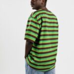 Dickies "dickies x vincent alvarez stripe t-shirt vert"
