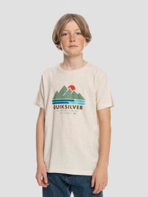 Quiksilver "quiksilver scenic recovery t-shirt blanc"