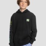 Quiksilver "quiksilver radical times hoodie noir"