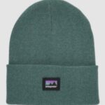 Patagonia "patagonia everyday beanie vert"