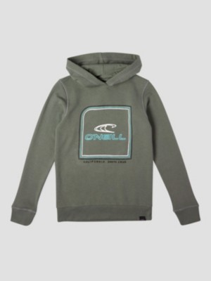 O'neill "o'neill cube hoodie vert"