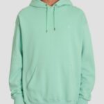 Volcom "volcom single stone po hoodie vert"