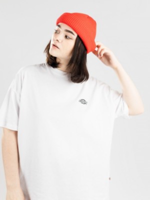 Dickies "dickies summerdale t-shirt blanc"