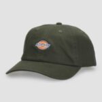 Dickies "dickies hardwick cap vert"