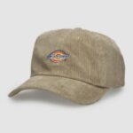 Dickies "dickies hardwick cord cap marron"